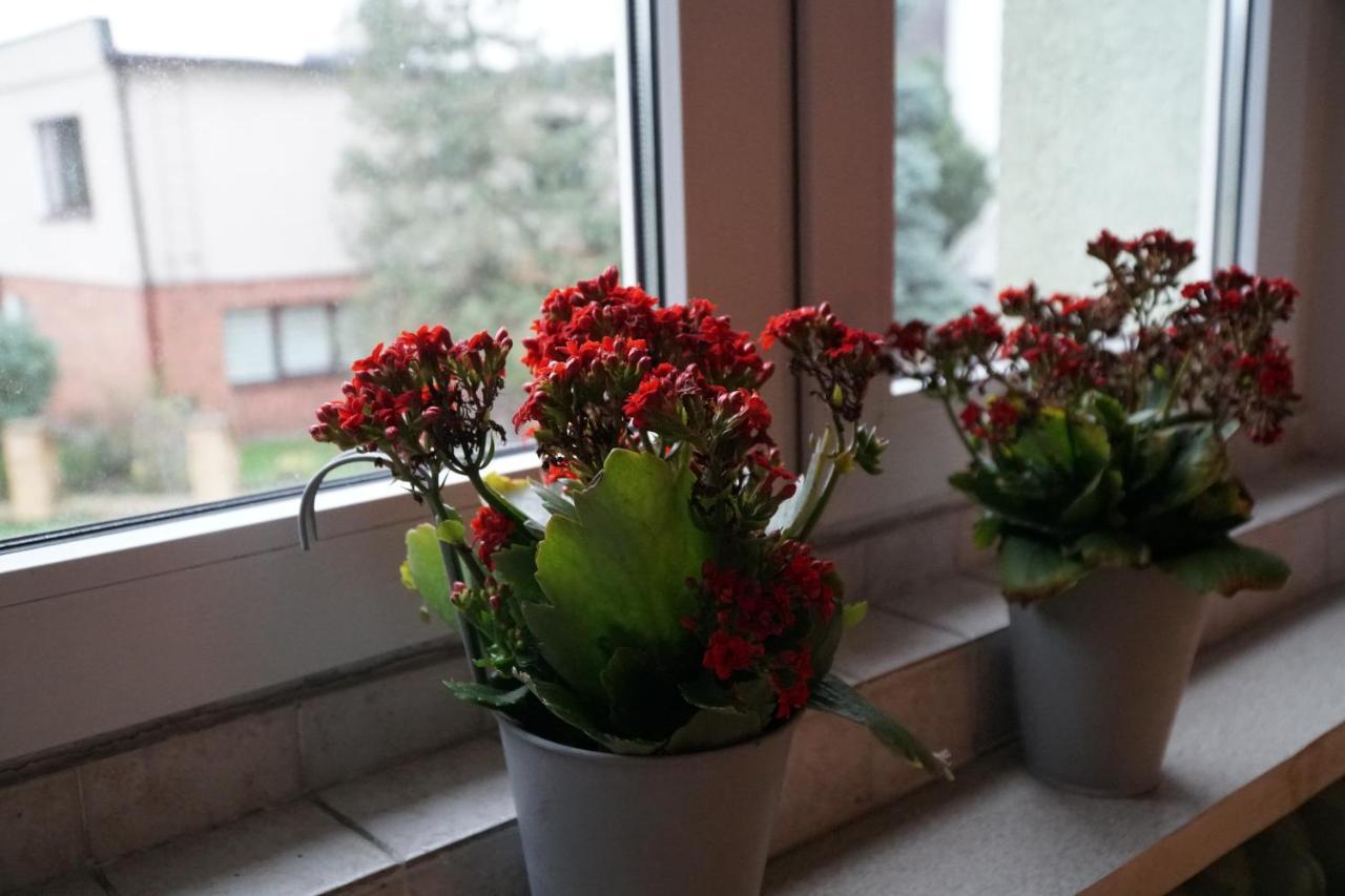 Apartament Paderewski Познан Екстериор снимка