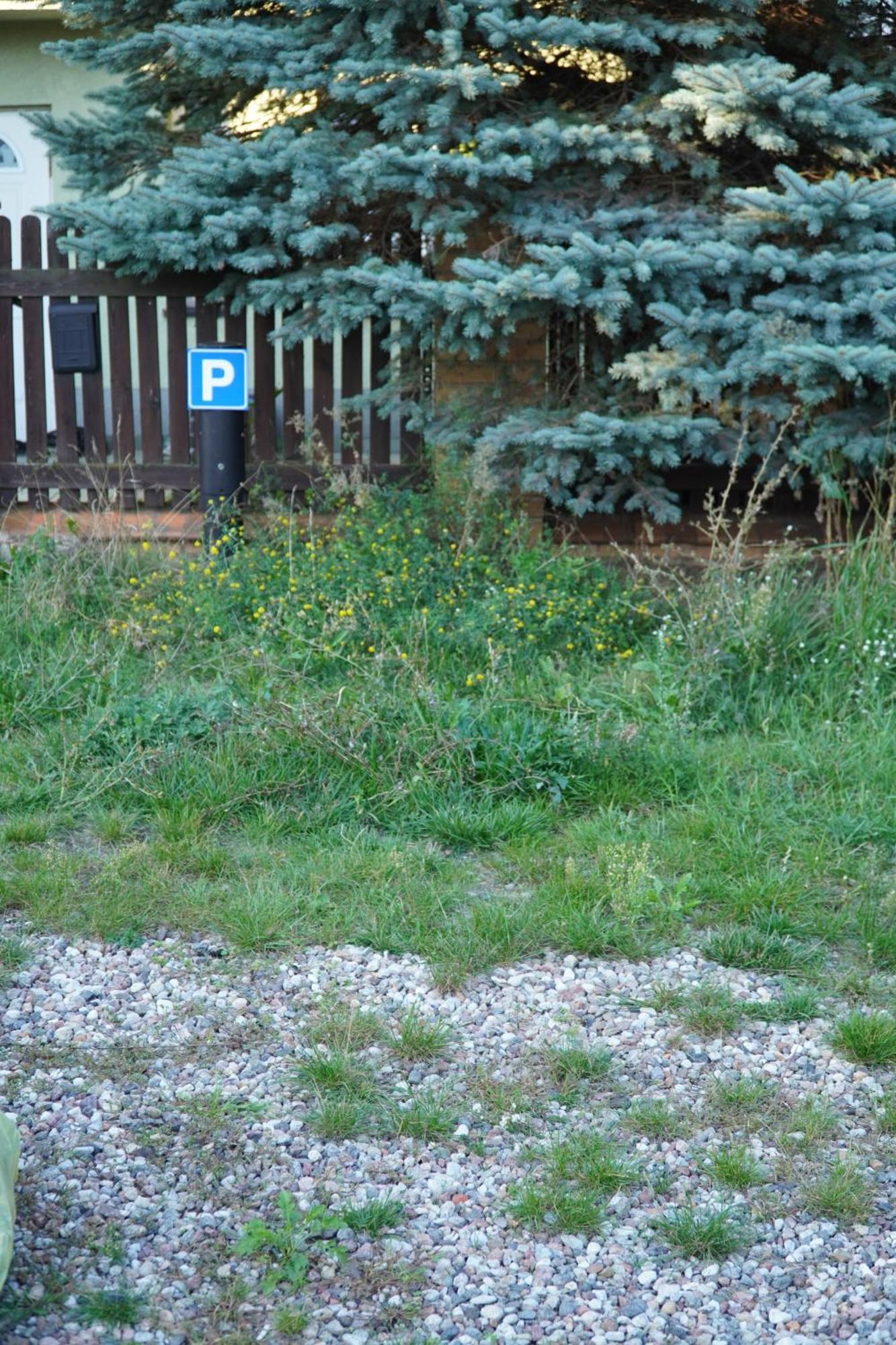 Apartament Paderewski Познан Екстериор снимка